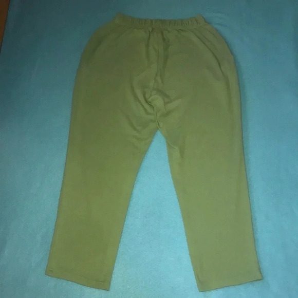 WOMAN WITHIN  7-Day Knit sage green pull on, 2 pockets elastic waistband size MP - Picture 3 of 9